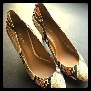 Coach Snakeskin Pumps